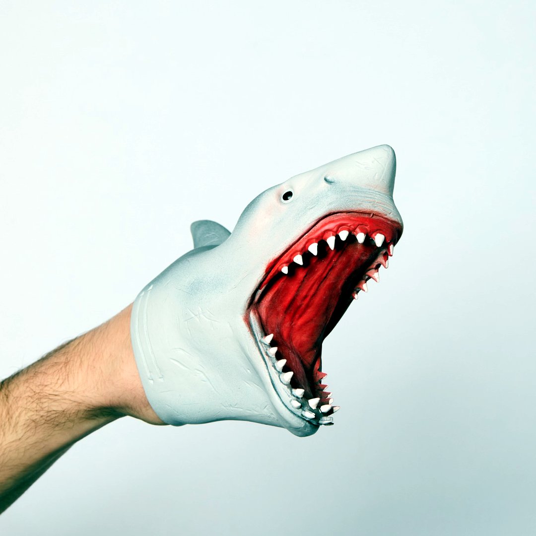 The original Shark Puppet