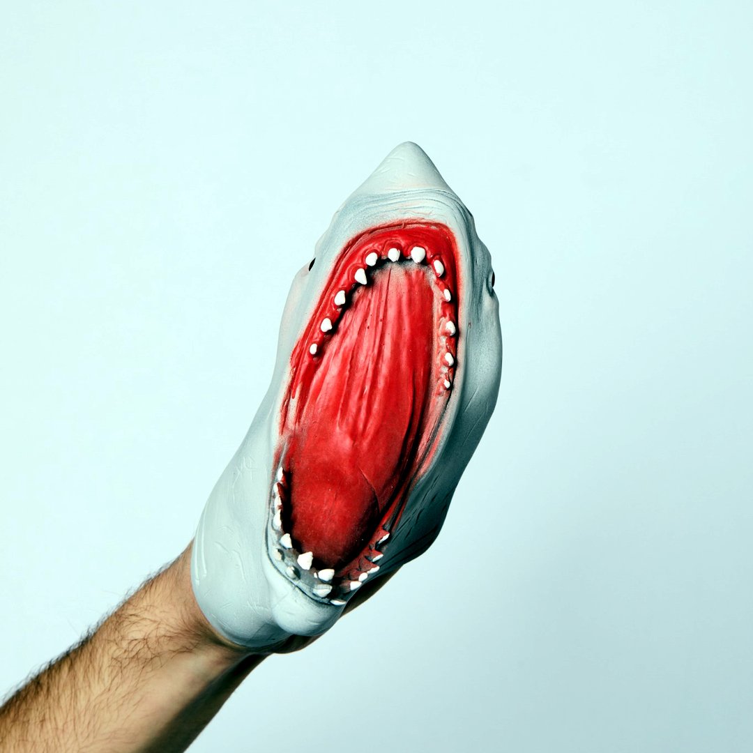 The original Shark Puppet