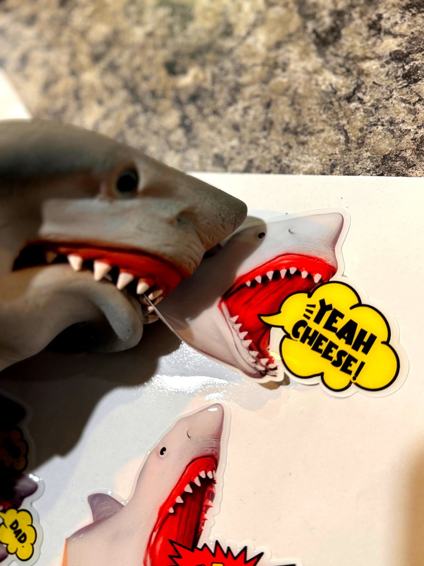 Official Removable and Reusable Shark Skinz 4 pack